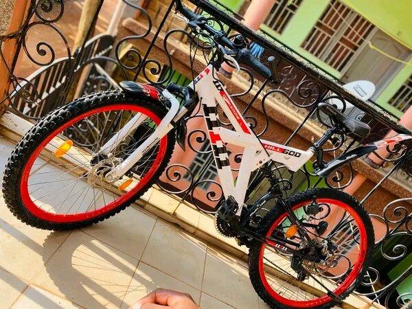 Vélo tout-terrain robuste