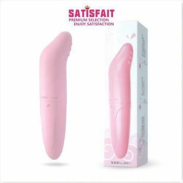 Vibromasseur Satisfait Premium