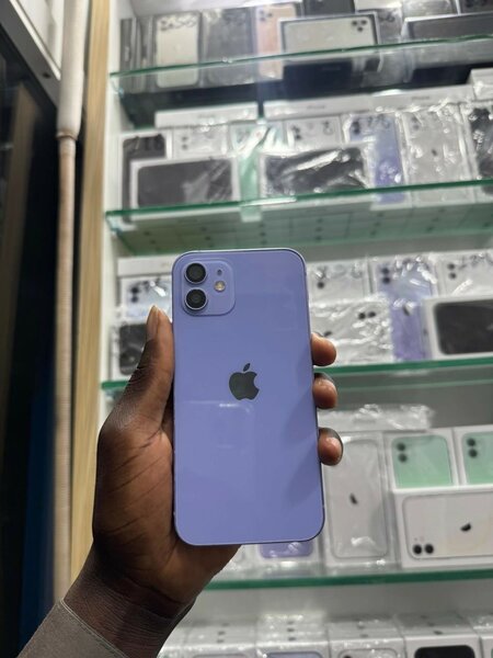 iPhone 12 Casi neuf