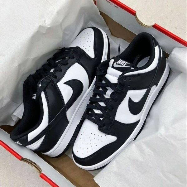 Baskets Nike sb blancs noir