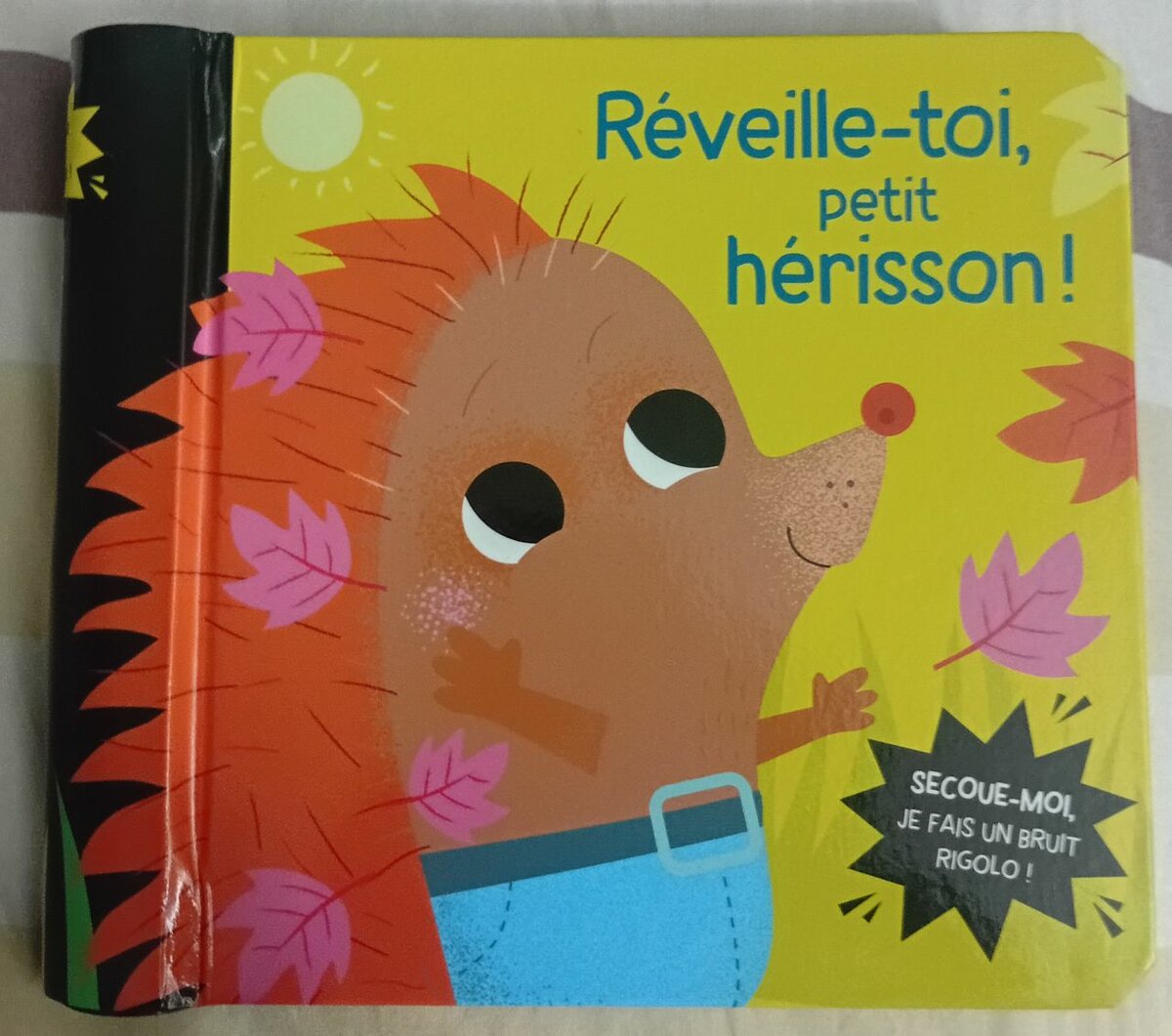 Livre pour enfants hérisson