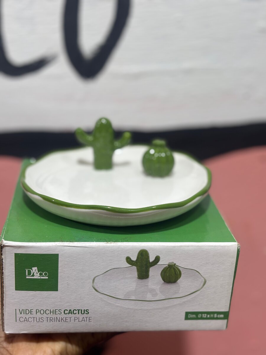 Vide poches Cactus déco