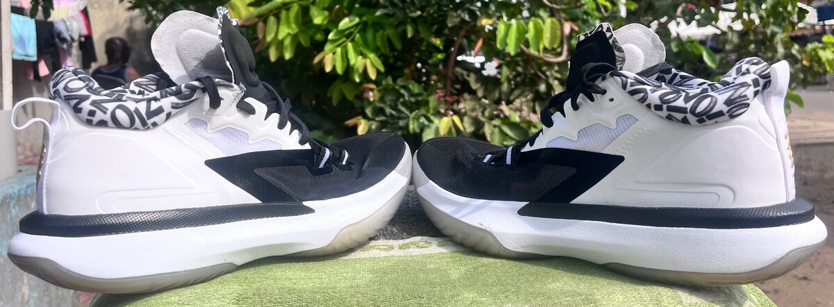 JordanAir Jordan Zion 1 PF 'G