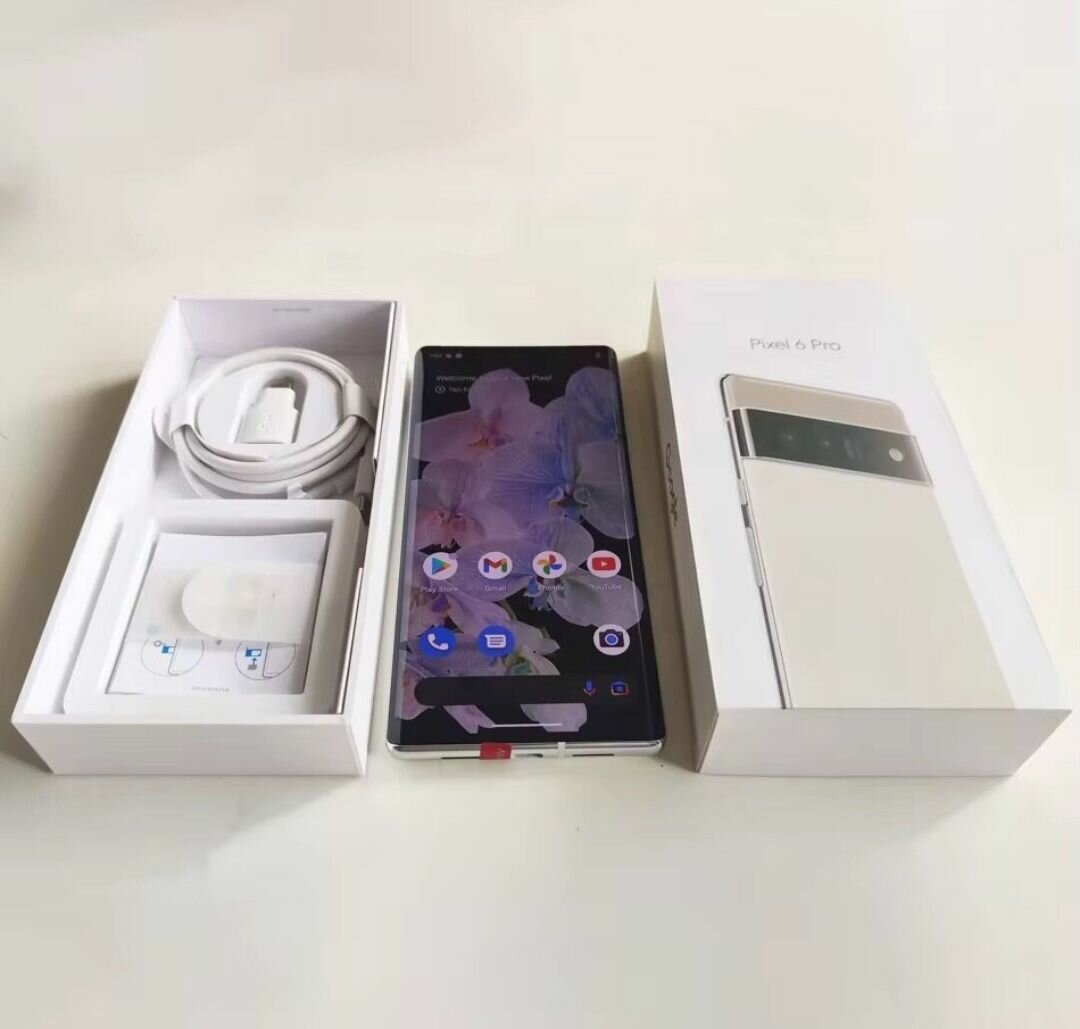 Google Pixel 6 Pro - 128 Go