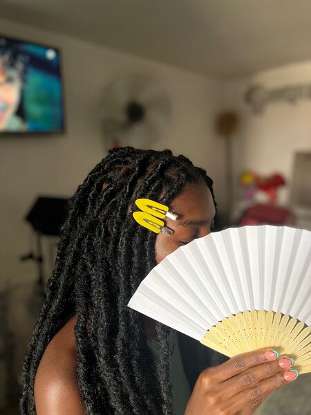 2pcs barrettes