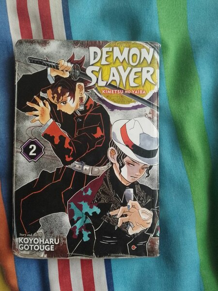 Demon Slayer: KNY Vol.#2