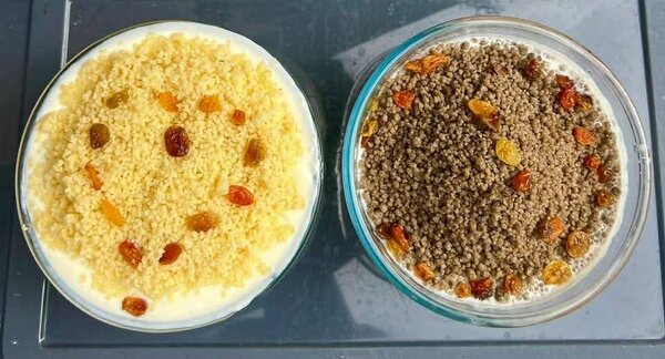 Délicieux Deguê et yaourt