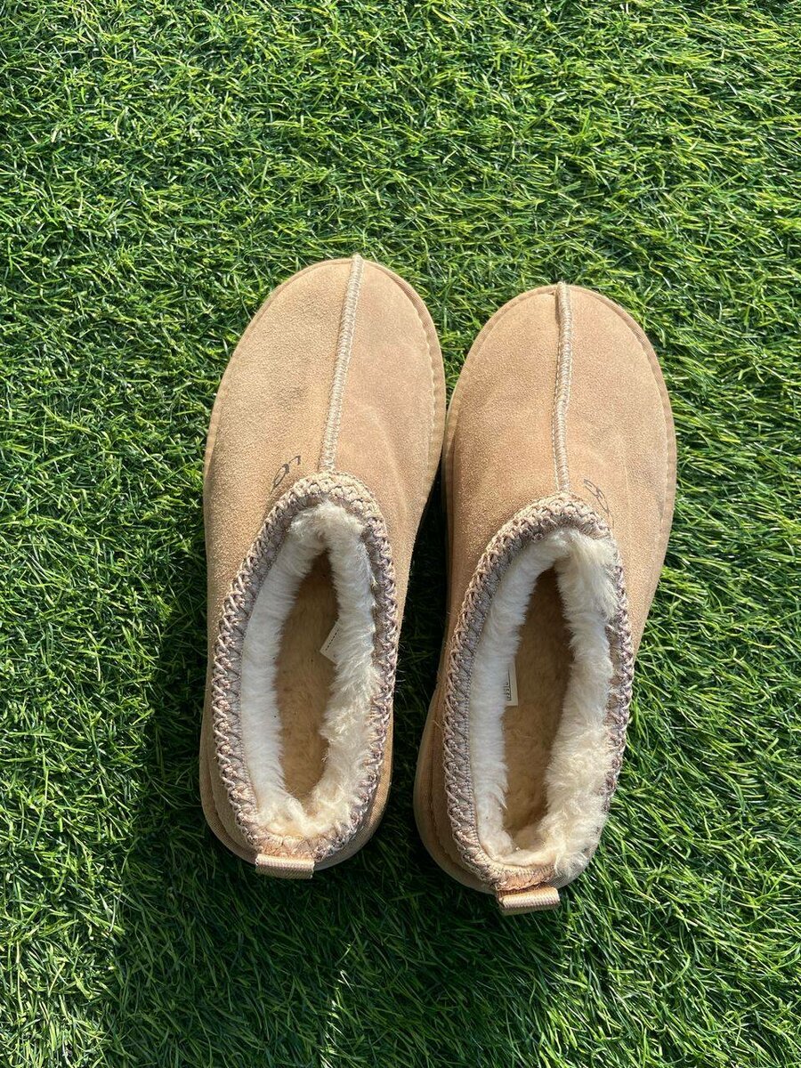 UGGs tazz Shoes
