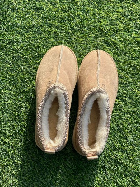UGGs tazz Shoes