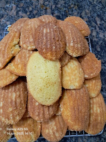 30 Délicieuses Madeleines