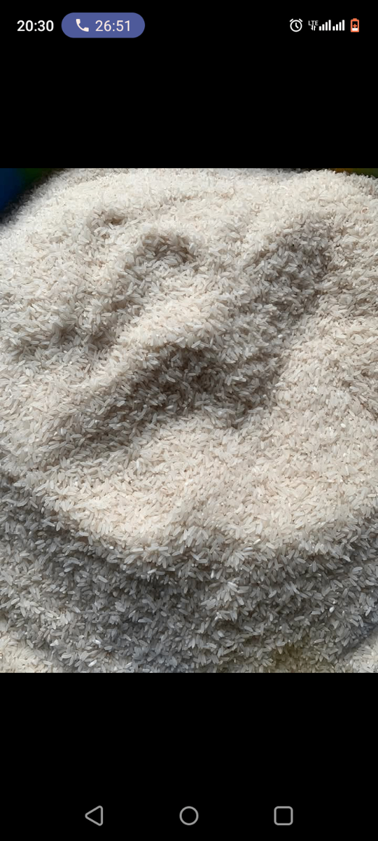 Riz blanc et riz noir et viole