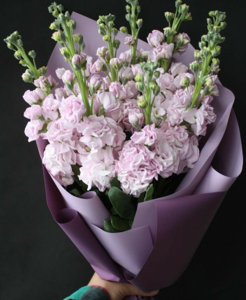 Букет из ароматной маттиолы 🩷