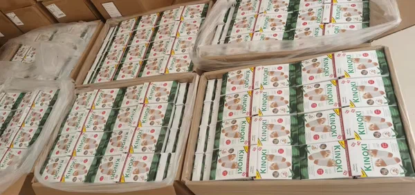 Patches détox pieds Kinoki