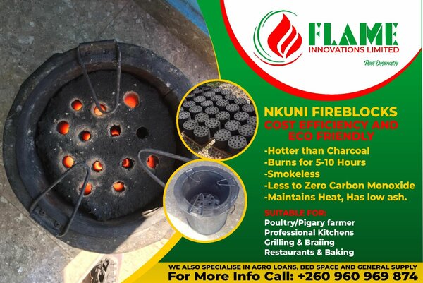 Honeycomb briquettes