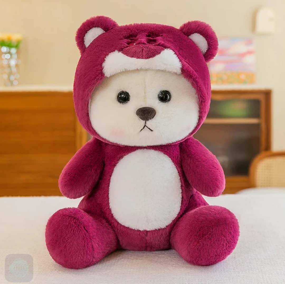 Peluche pour amoureux 65 cm