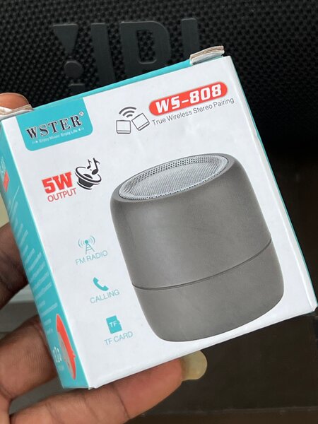 WSTER WS-808 Wireless Bluetooth Speaker 5W