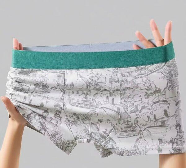 Boxers imprimés pour hommes