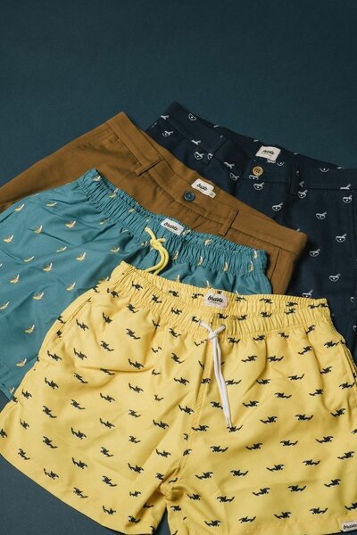 Men summer shorts