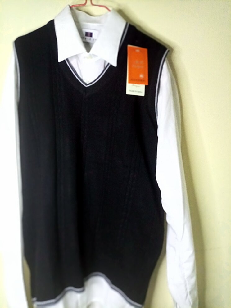 Gilet élégant col V homme