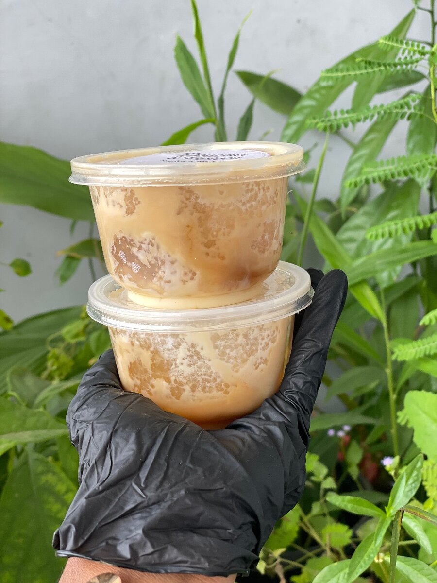 Tapioca Nature en Pot