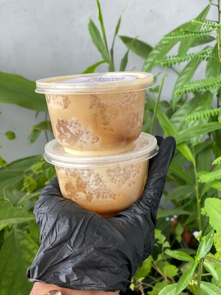 Tapioca Nature en Pot