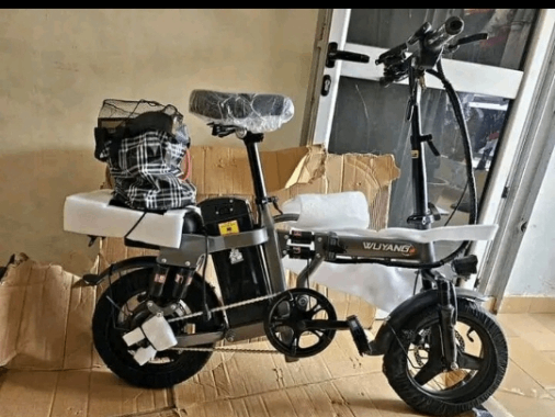 Vélo Électrique Pliant Compact