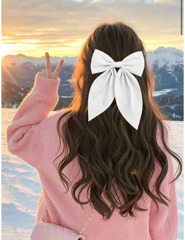 Nœud Papillon Cheveux