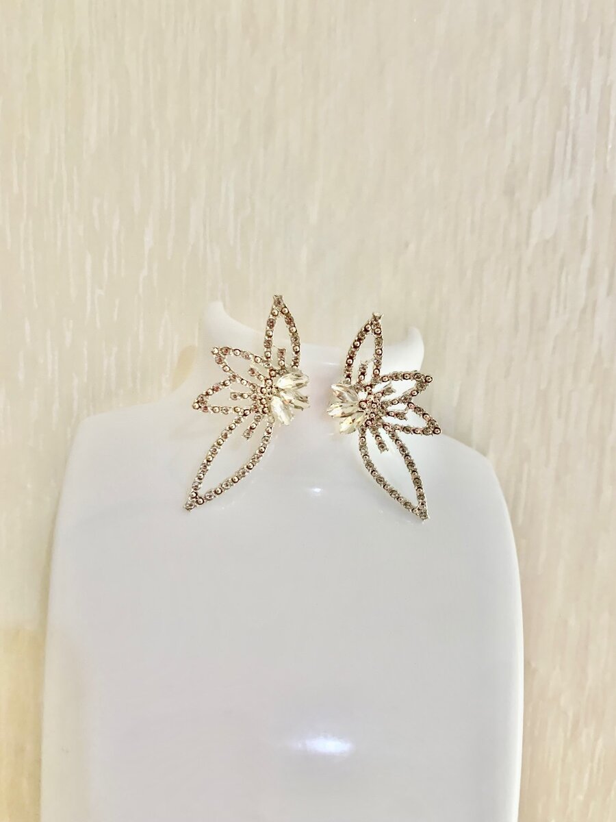 Fashion earring