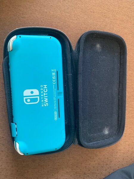 Nintendo switch lite