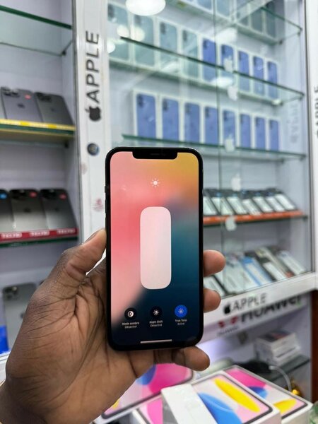 Apple casi neuf 12pro max