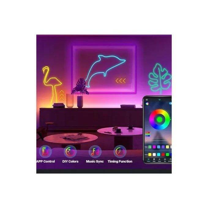 LED Néon Intérieur Bluetooth