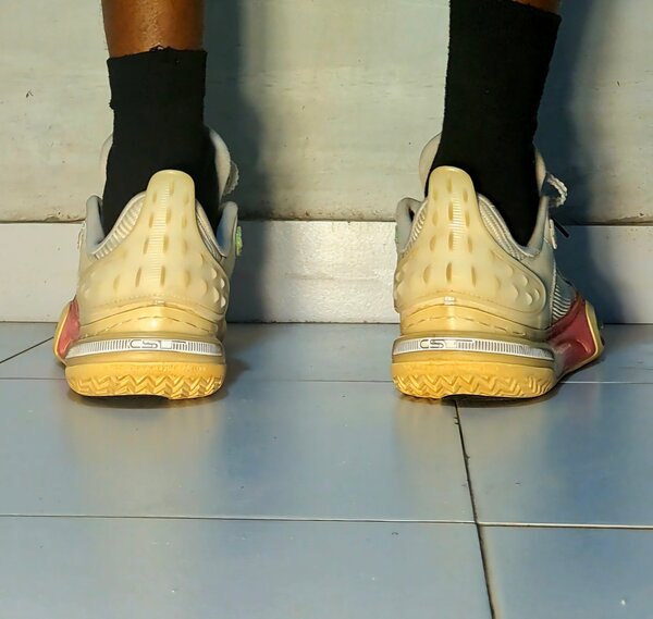 Chaussure basket WAY OF WADE