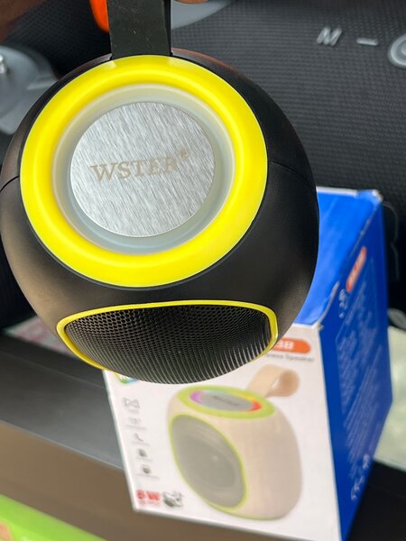 WSTER WS-338 Wireless Speaker Portable Bluetooth Speaker