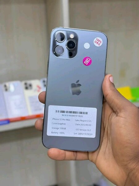 iPhone 12 Pro Max 128 Go Gris