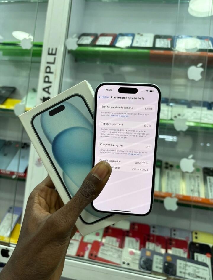 iPhone 15 258Go