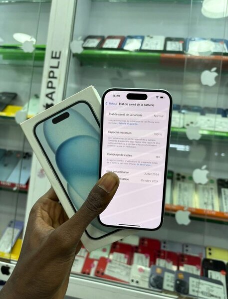 iPhone 15 258Go