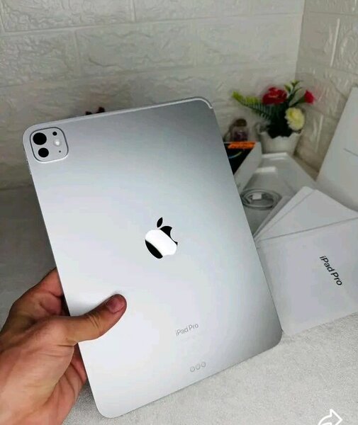 Apple iPad Pro argent