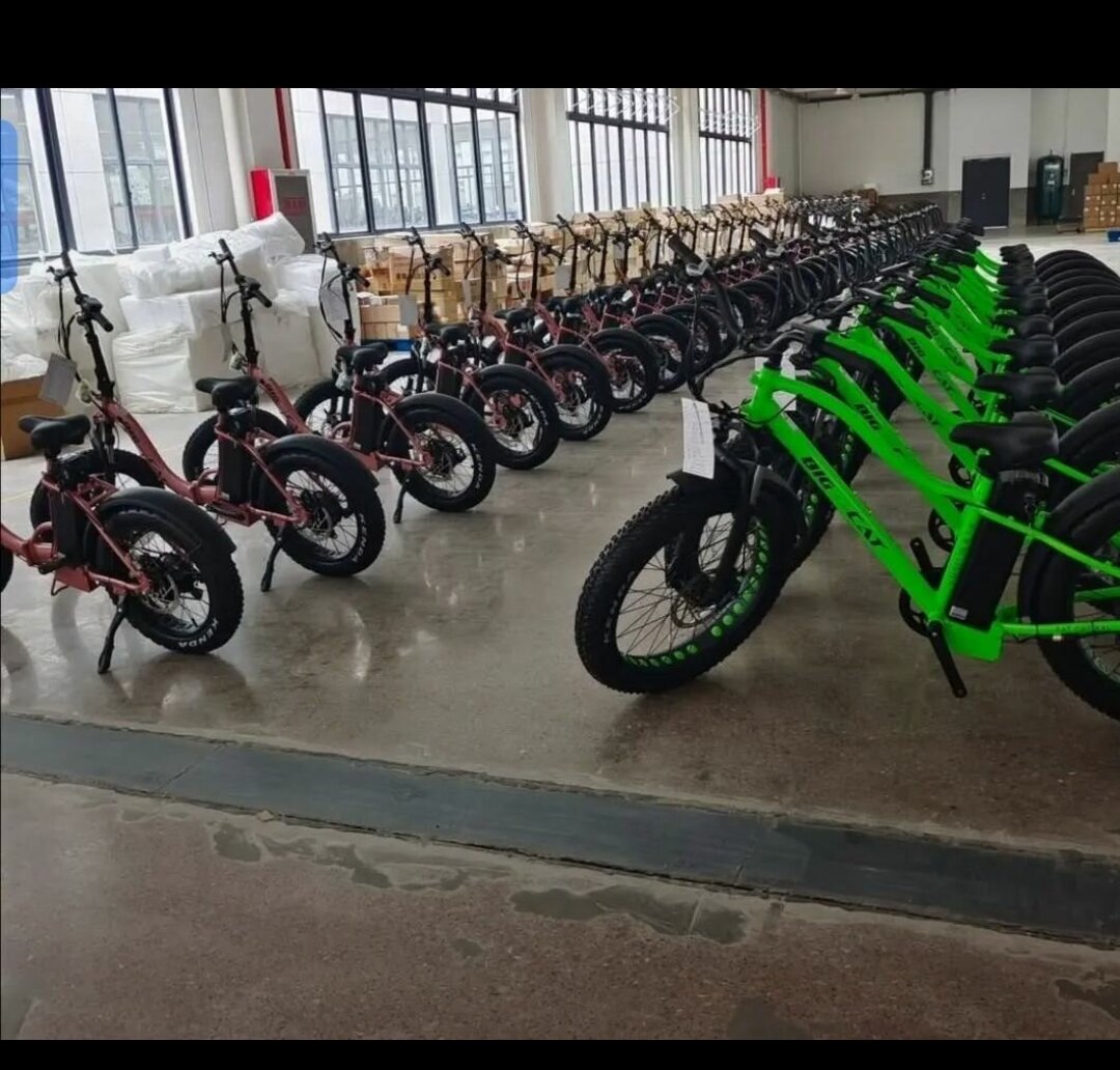 Vélos électriques tout-terrain puissants