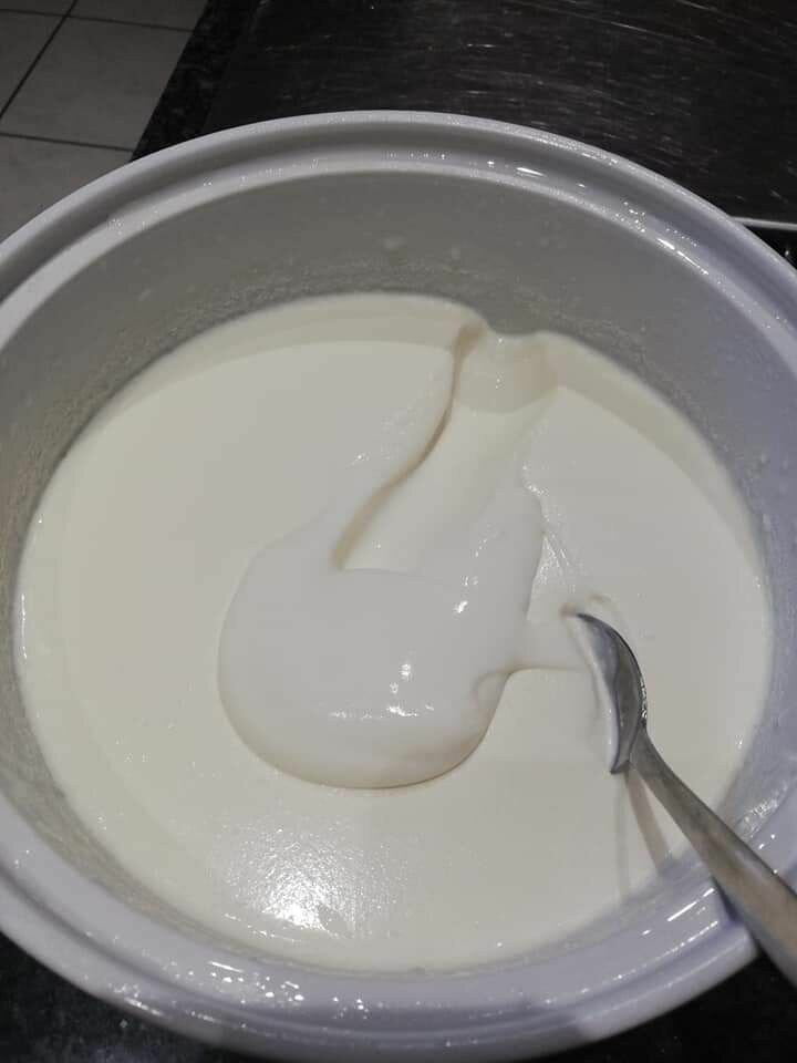 Yaourt Nature sucré Delicieux