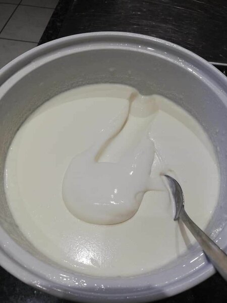 Yaourt Nature sucré Delicieux