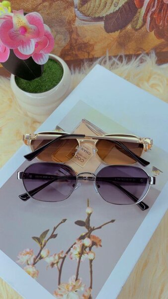 Lunettes de soleil élégantes