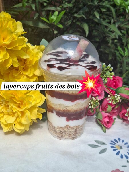 Layercups fruit des bois
