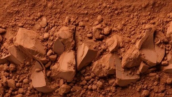Poudre de cacao bio