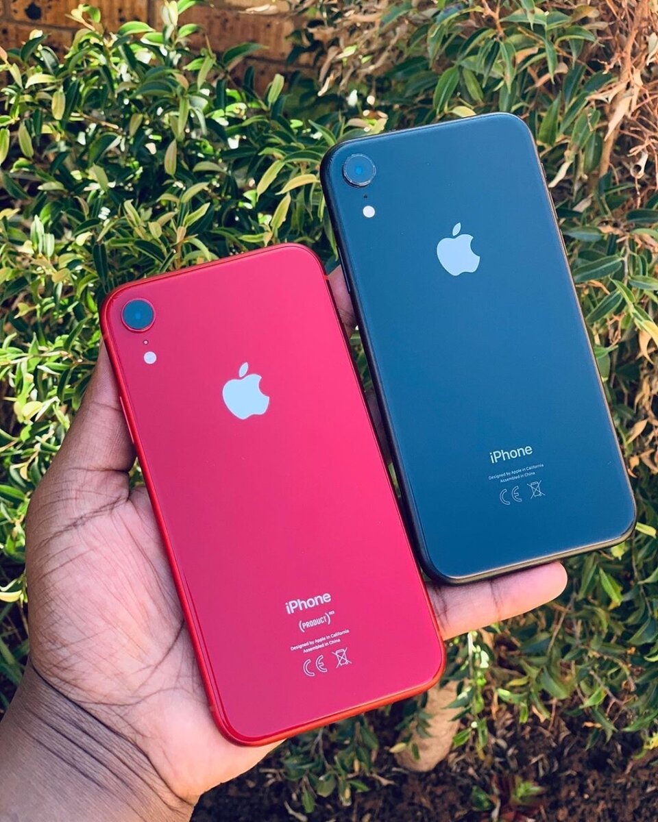 iPhone XR