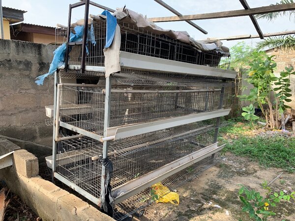 Cage/ Fowls Cage/Battery Cage Poultry/ Poultry Machine