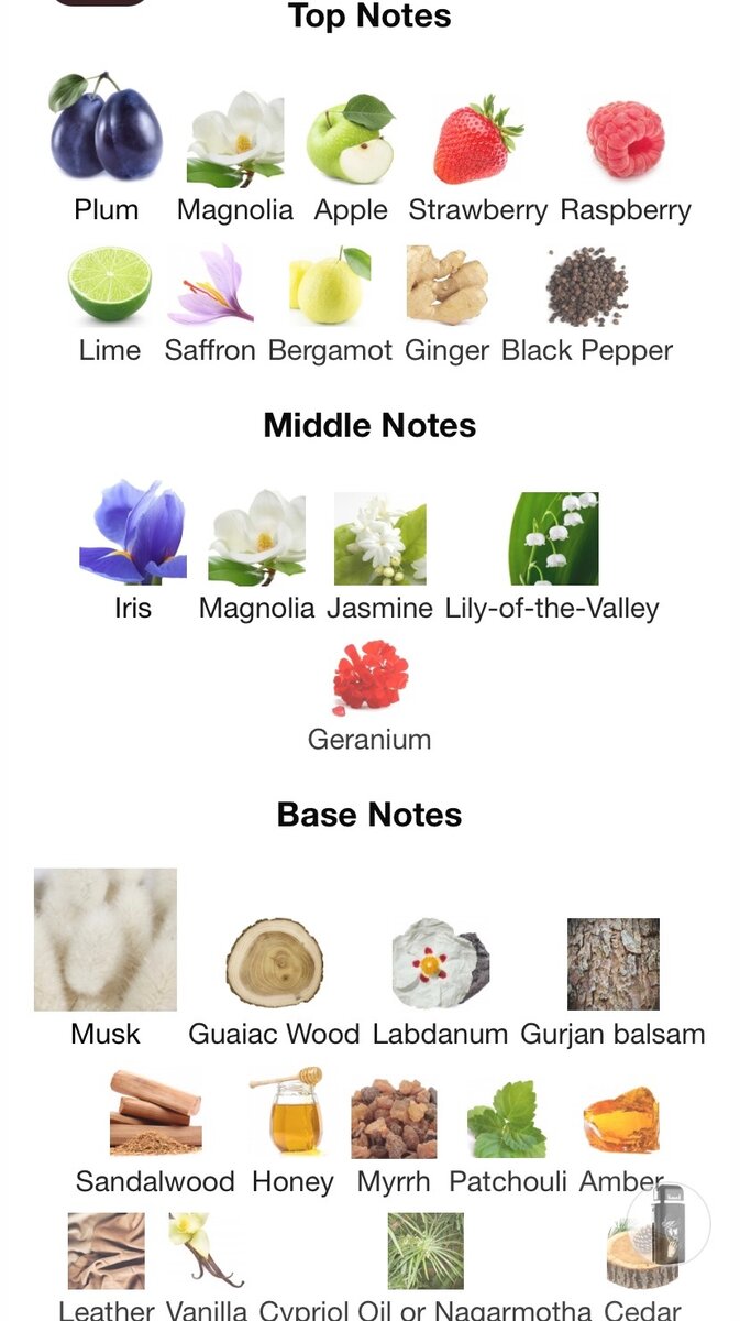 Armaf Nomad(the wonderer)