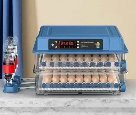 Incubateur numérique pour œufs