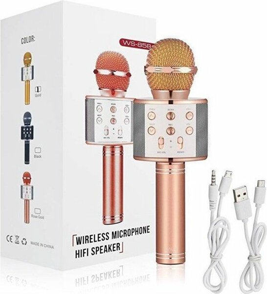 Microphone Sans Fil Karaoké