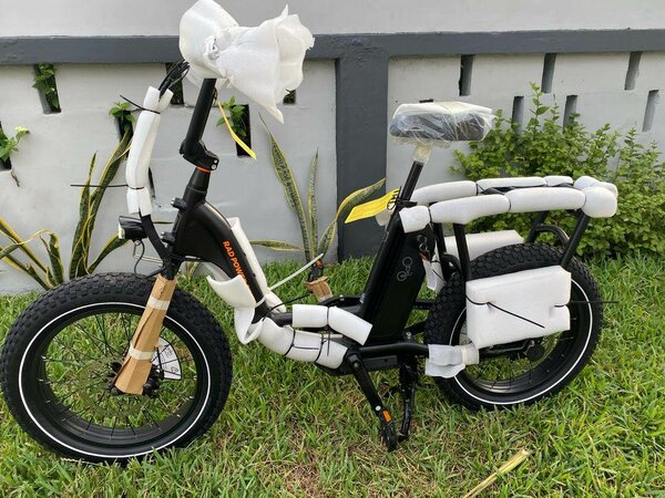 Rad Runner Electric Bike 48V
