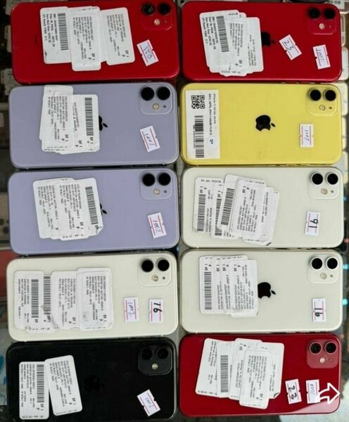 iPhone 11 - Multicolore